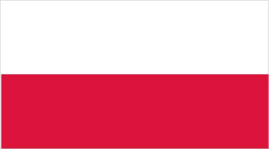 Türkmenistan Vatandaşı Polonya Çalışma Vizesi