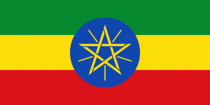 etiyopyalı yatılı bakıcı fiyatları