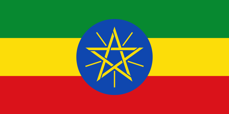 etiyopyalı yatılı bakıcı fiyatları